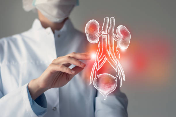 UTI Treatment
